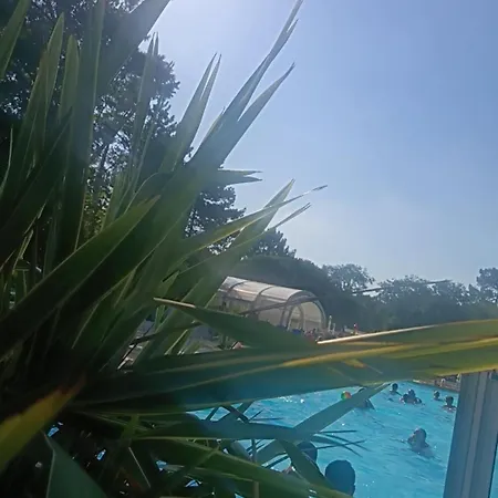 Camping Le Ptit Beverlys Vendéen